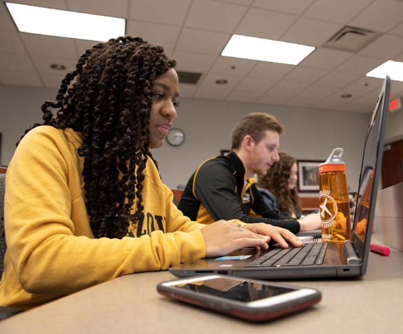 Students Working at their computers