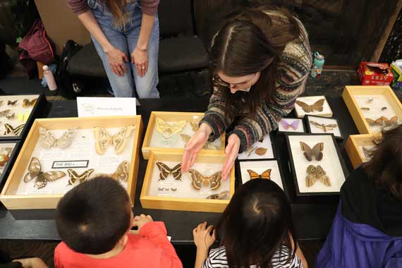 student showing butterfly displays to children