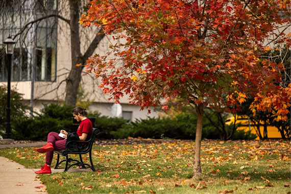 Student on park bench under tree