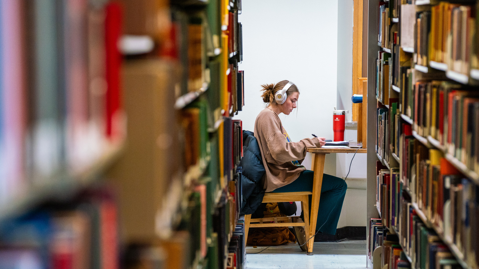 Student working in the library