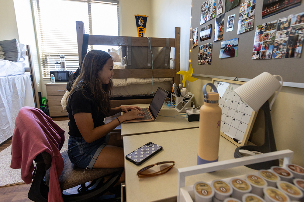 Student in dorm at computer