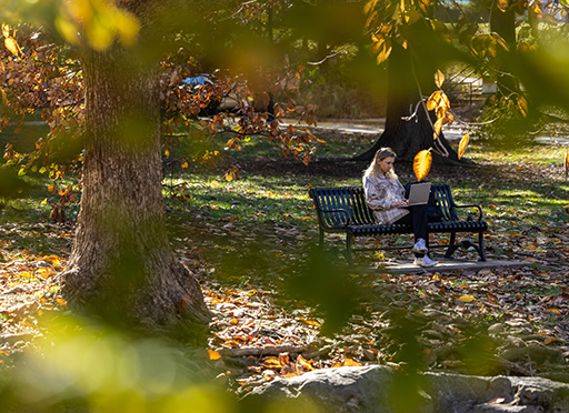 Student studying on a bench in Peace Park