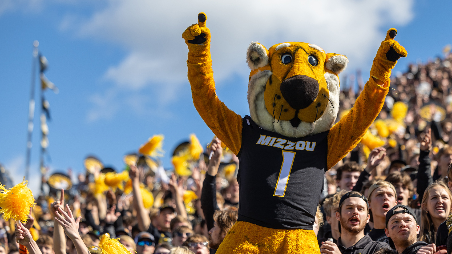 Truman the Tiger