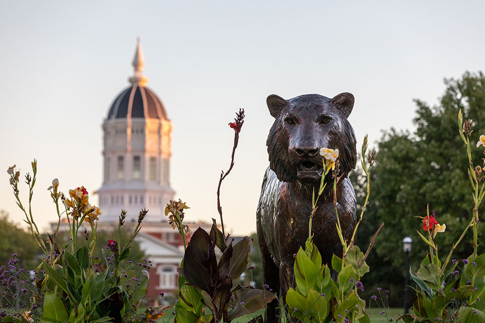 Tiger statue with Jesse Hall dome in the background.