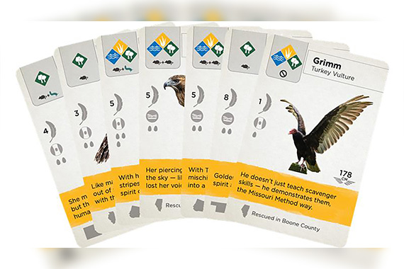 Deck of game cards featuring birds fanned out