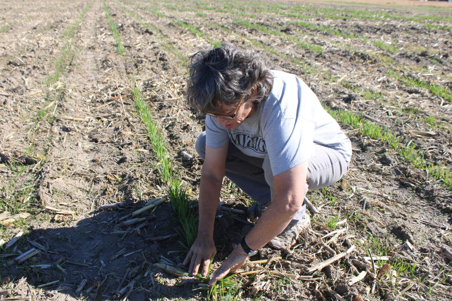 Woman working in a field